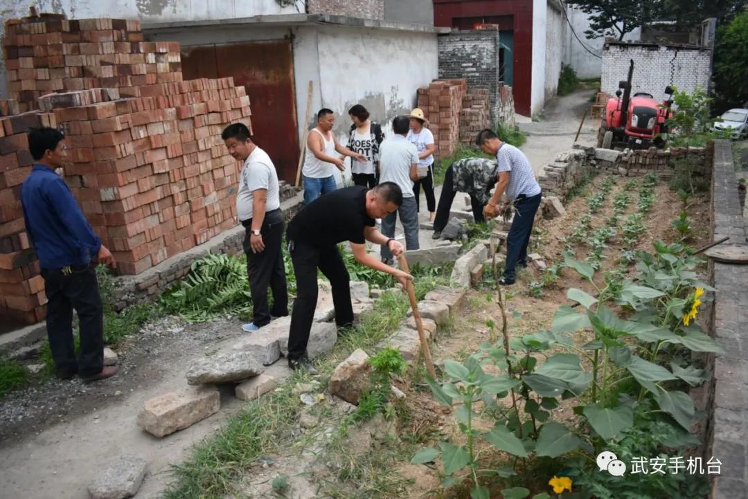 武安二手摩托车市场最新概况概览