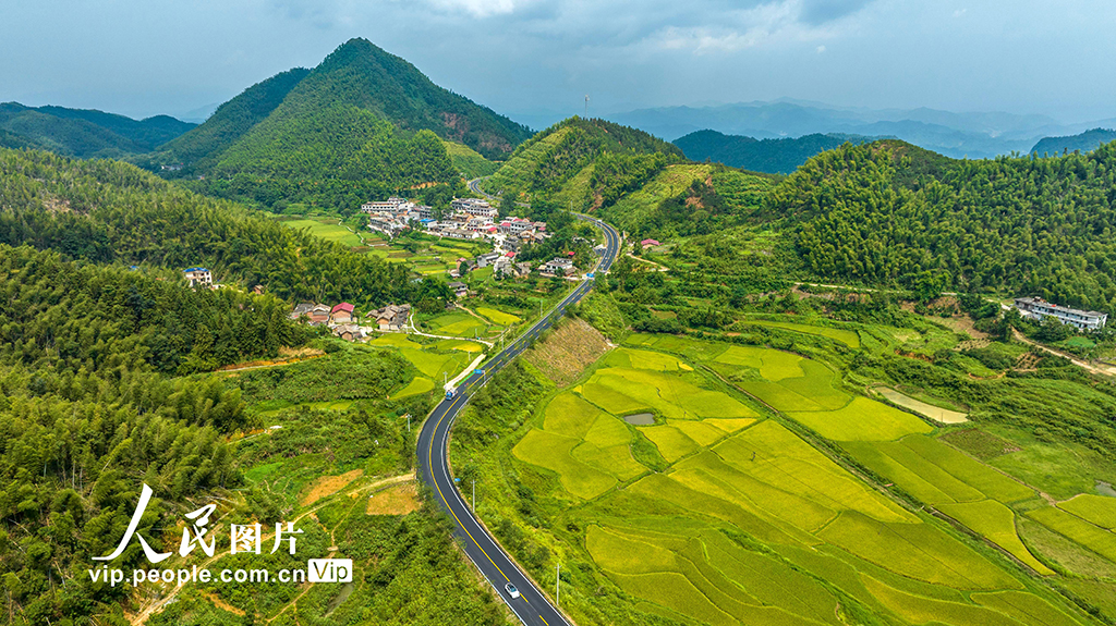 宜慈公路最新动态更新