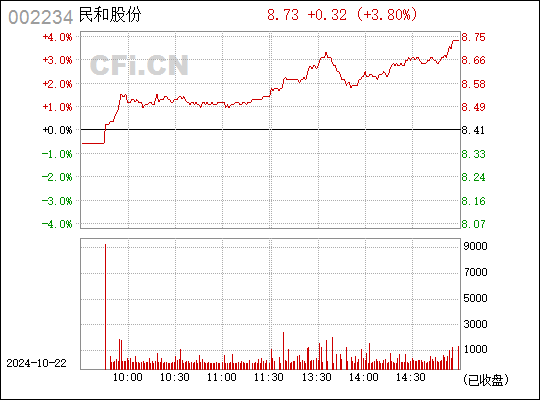 民和股份收购最新动态，深度解析及前景展望