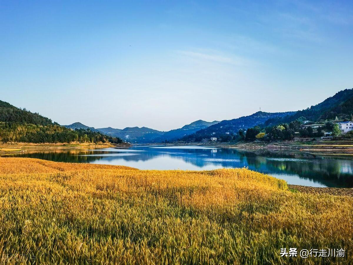 南部县升钟镇未来乡村新蓝图规划揭秘