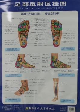 足部反射区示意图揭示，足部健康与全身联系的奥秘