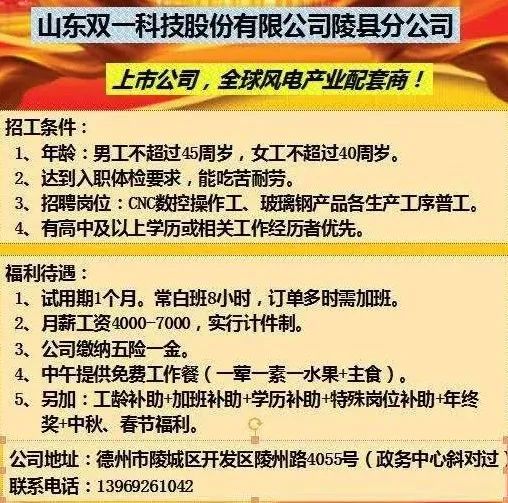 莱西九联最新招聘信息全面解析