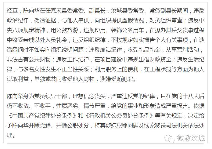 陈向华最新动态，揭开成功奥秘，探寻未来无限潜力