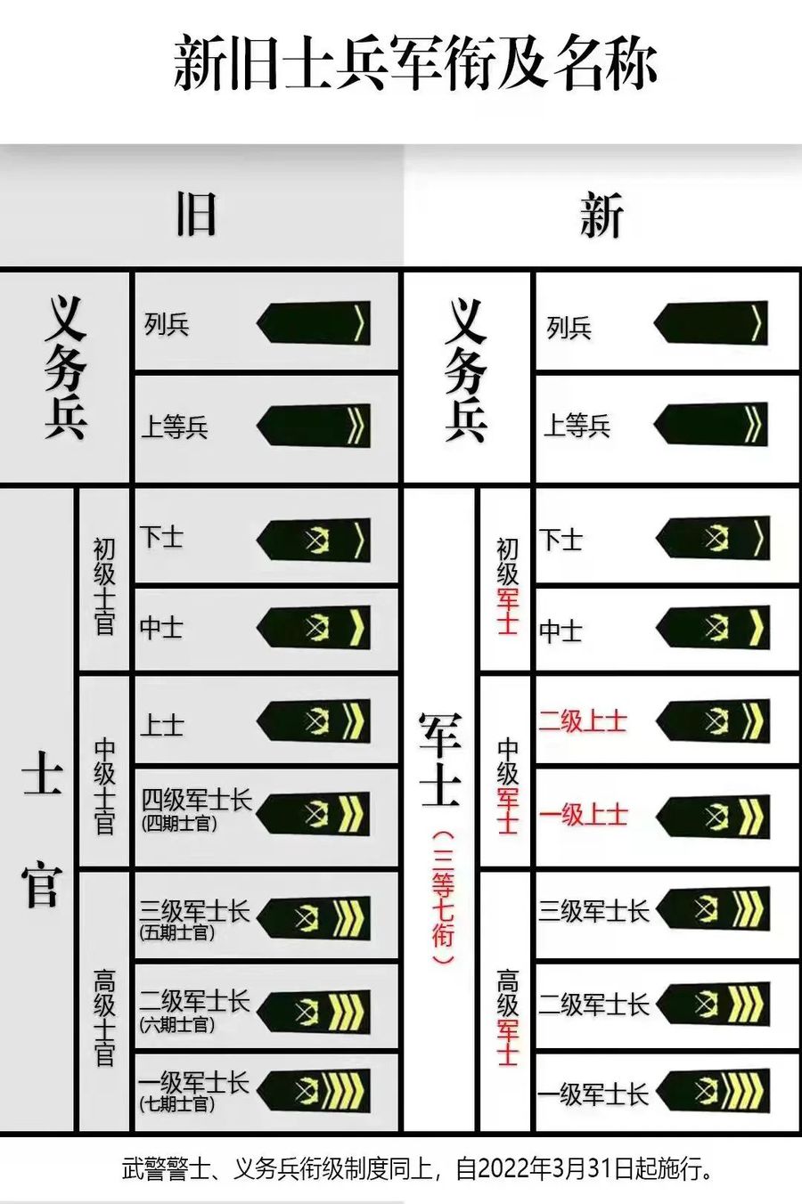 军改最新动态，士官制度变革深度解读