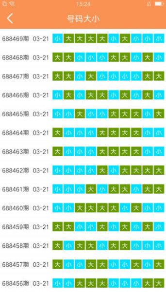 2004新澳门天天开好彩大全正版,决策资料解释落实_进阶版6.662