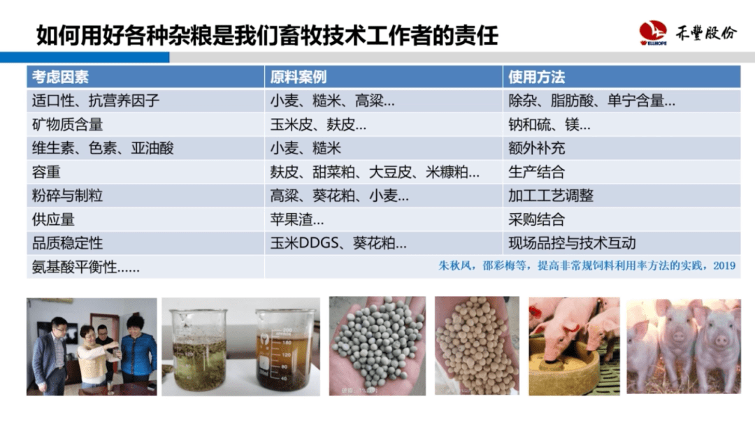 香港新奥彩123535,效率资料解释落实_ios2.97.118