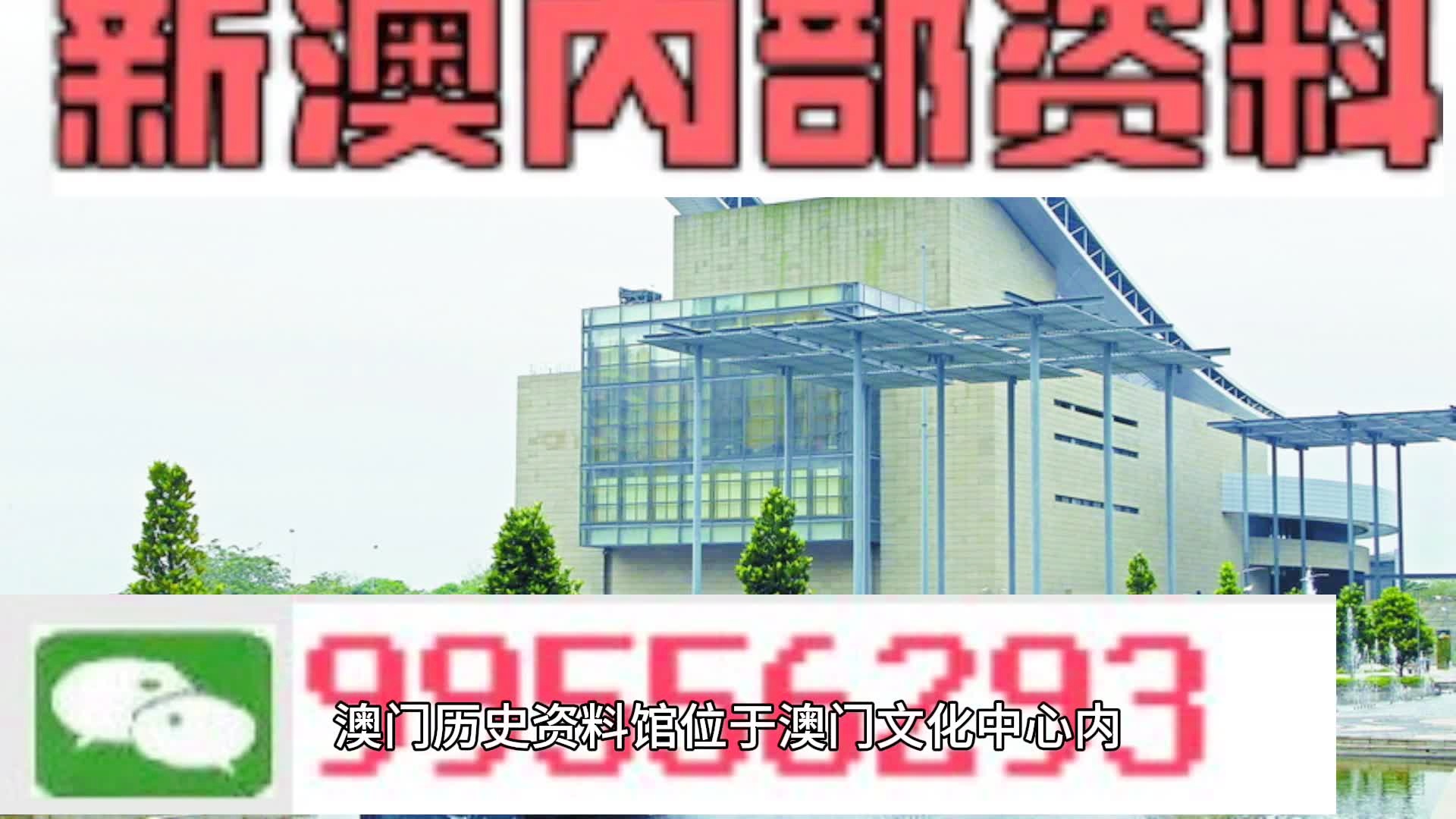 新澳门天天彩2024年全年资料,决策资料解释落实_豪华版180.300