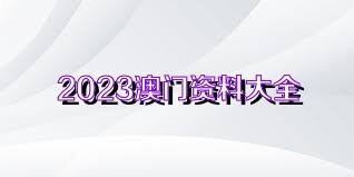 2023澳门正版资料免费大全,准确资料解释落实_标准版90.65.32