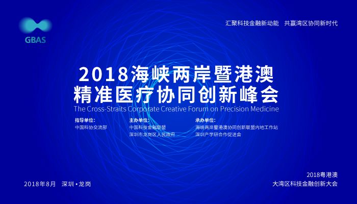 新澳精准资料免费提供219期,效率资料解释落实_定制版8.213