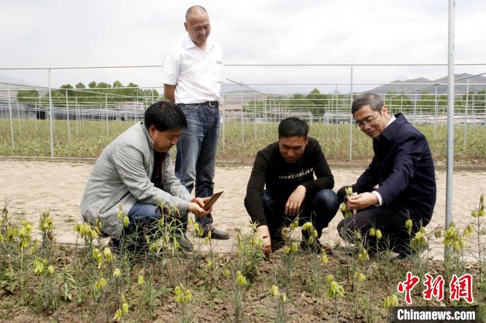 澳门资料大全正版资料2024年免费脑筋急转弯,动态词语解释落实_Max31.922