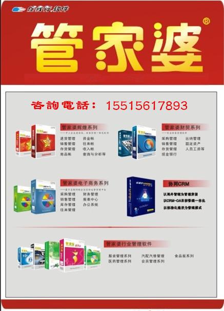 管家婆资料精准一句真言,时代说明解析_Essential53.195