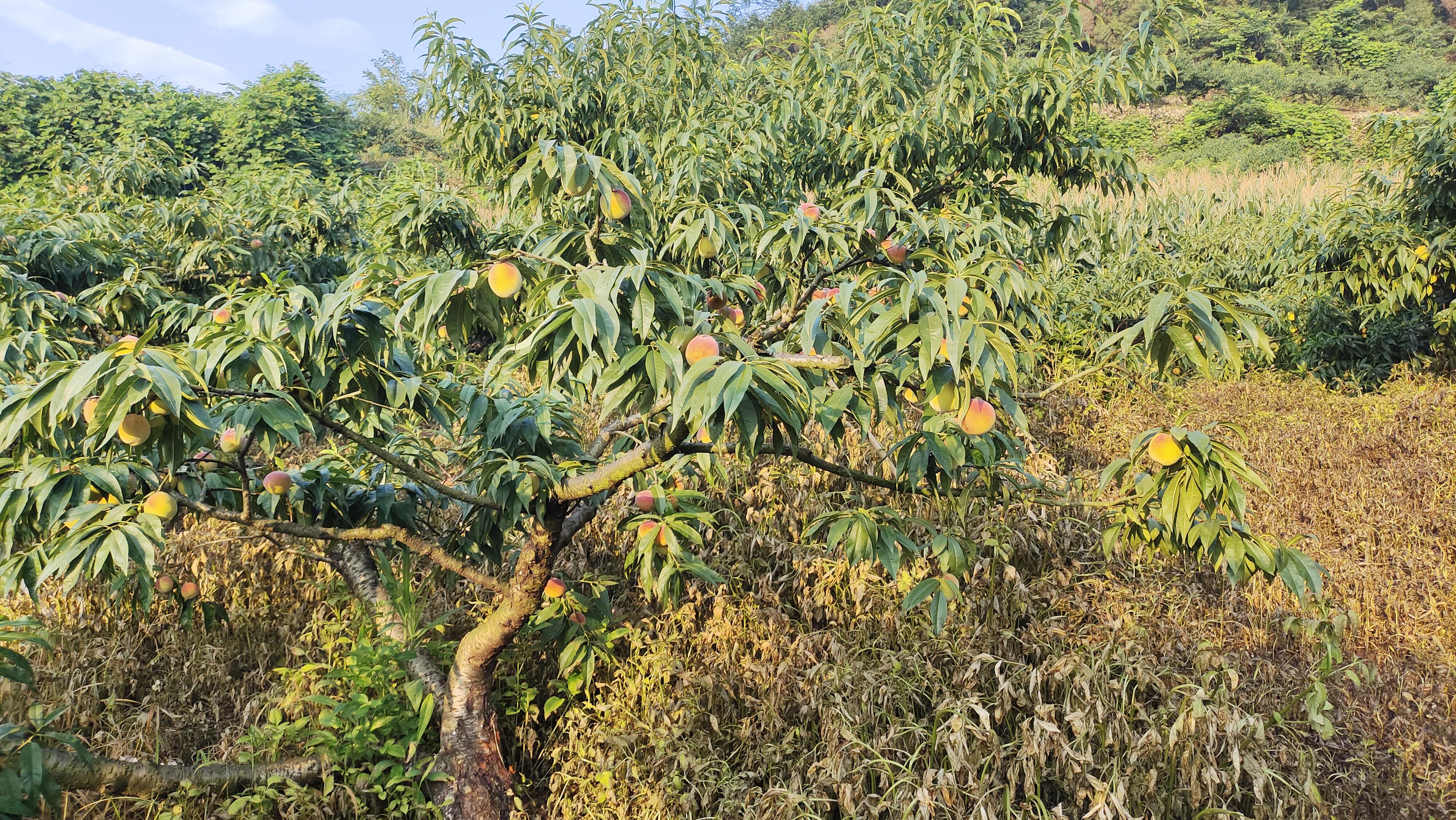 太和火车站最新动态全面解读