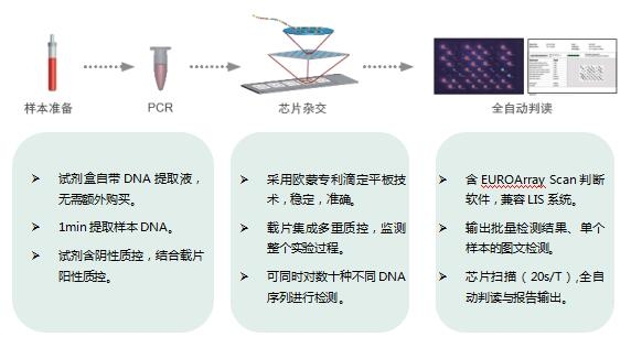 新澳门四肖三肖必开精准,定性分析解释定义_冒险版83.403