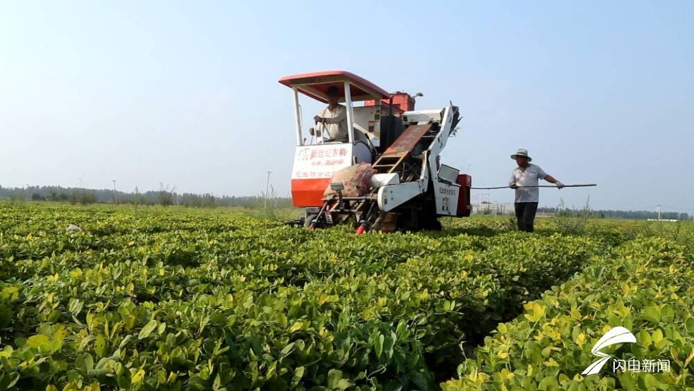 最新联合花生收割机的技术革新及其在农业的应用