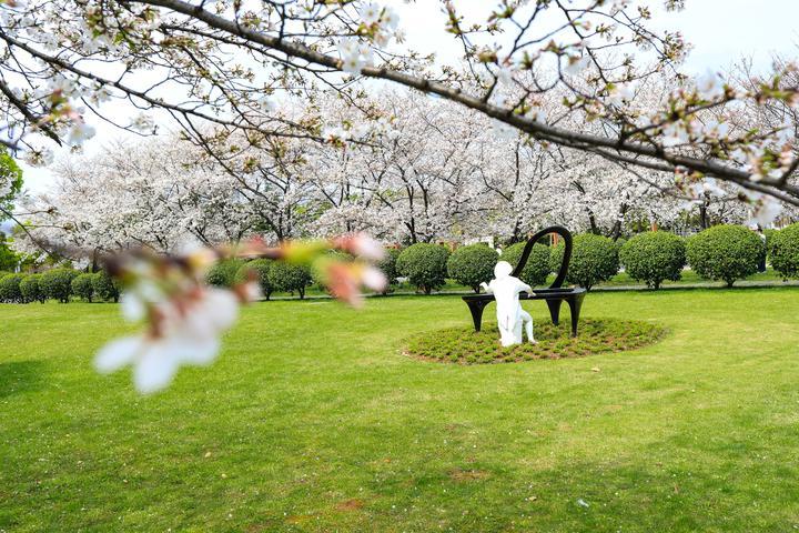 婺州城市广场未来蓝图与发展展望，最新动向揭秘