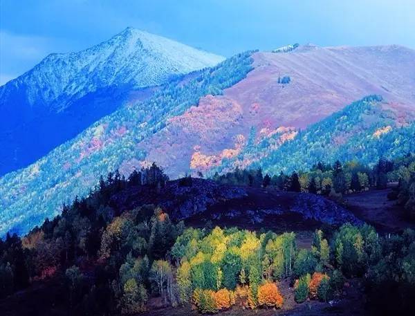 阿旗天山最新贴吧，探索与发现的旅程