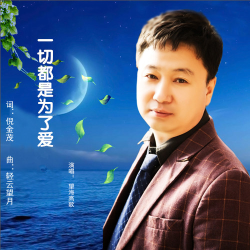 望海高歌，深度情感与独特魅力的最新伤感歌曲