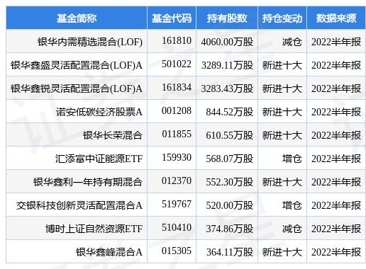 博时精选最新净值深度解析及投资策略探讨