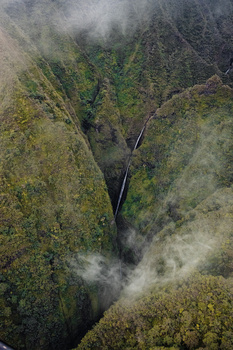 深山野夫下载，未知世界的冒险之旅开启