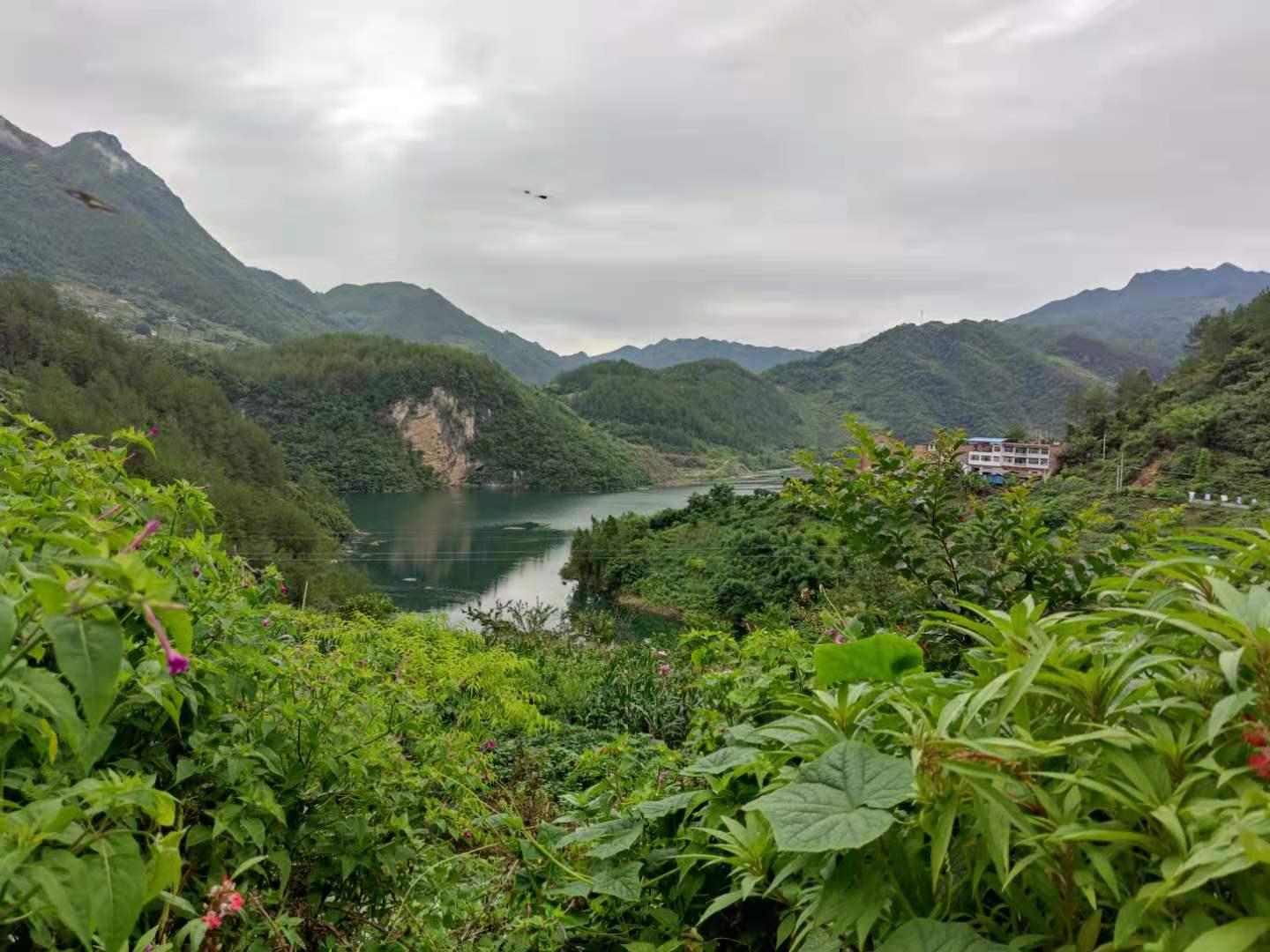 奉节竹园，最新发展动态与未来展望