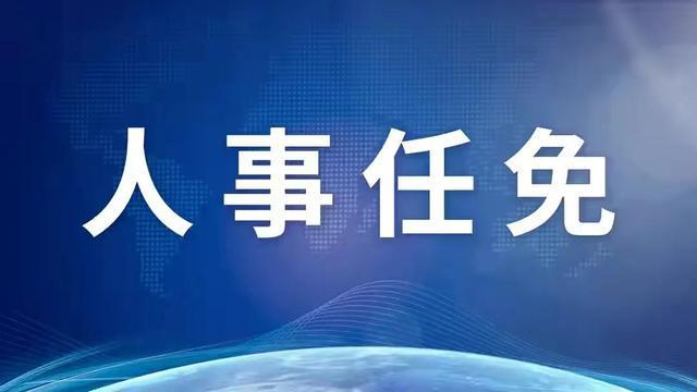 中央人事任免新动态，蔡同志担任新角色，引领国家发展新征程